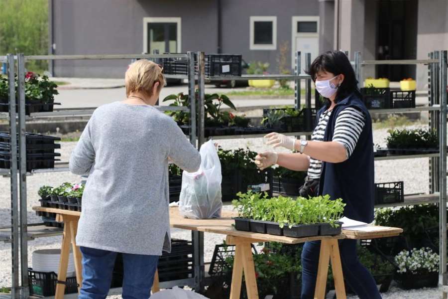 krapinske plac (9).JPG