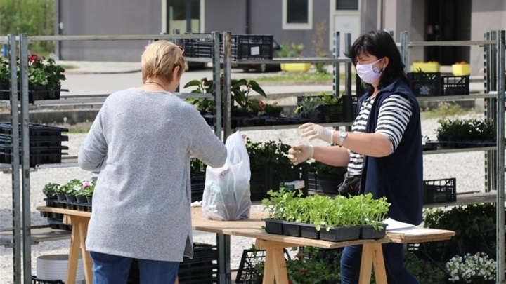 krapinske plac (9).JPG