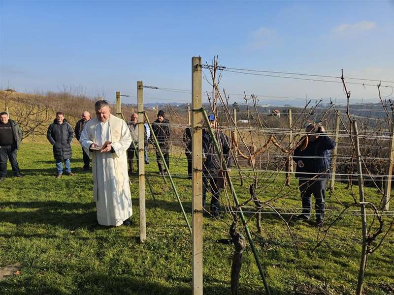 vincekovo zabok1.jpg