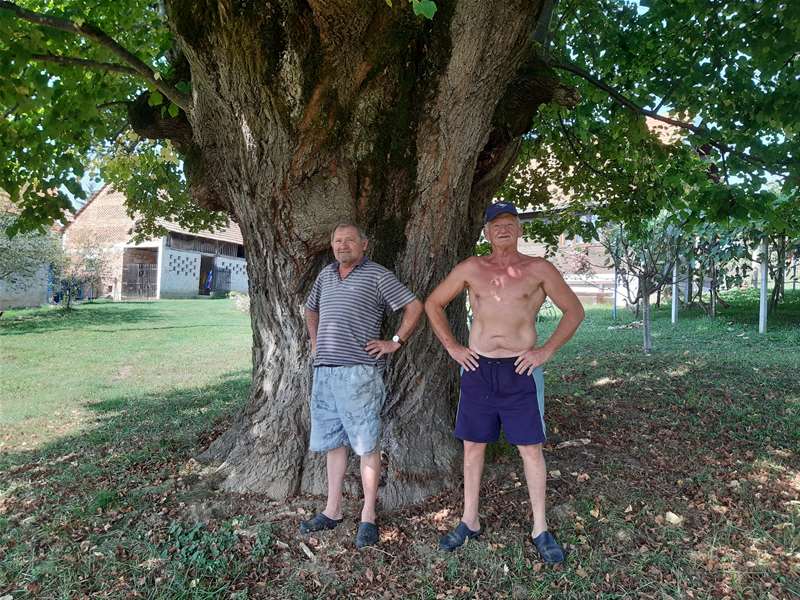 Zvonko i Petar Herceg.jpg