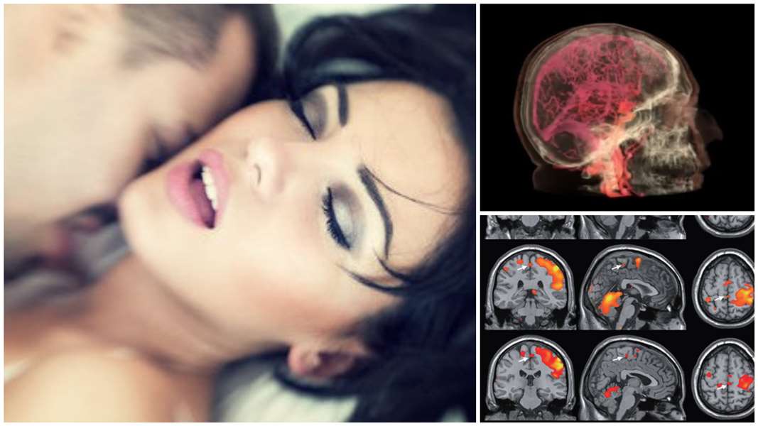 FotoJet - 2023-10-21T231738.660.jpg