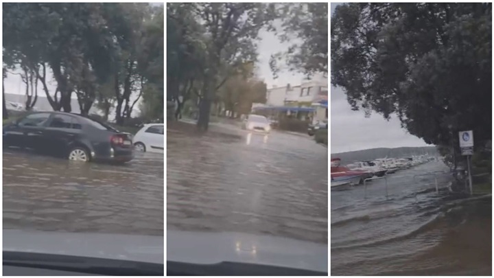 FotoJet - 2023-11-05T091437.617.jpg