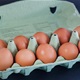 Iz trgovina se povlače svježa jaja zbog salmonele. Provjerite jeste li ih kupili