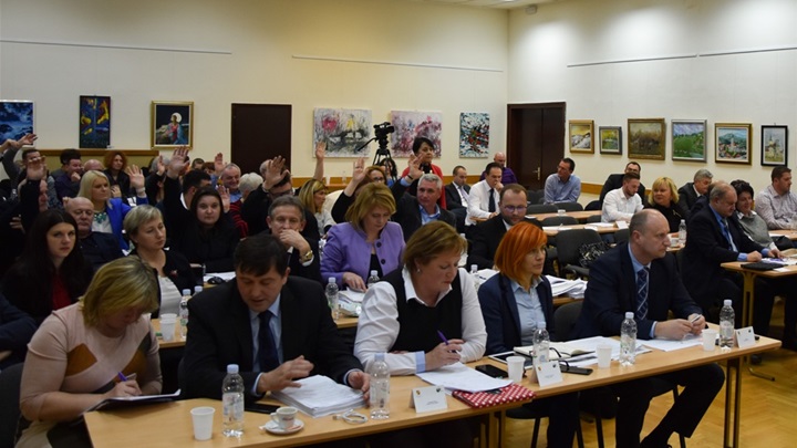 županijska skupština