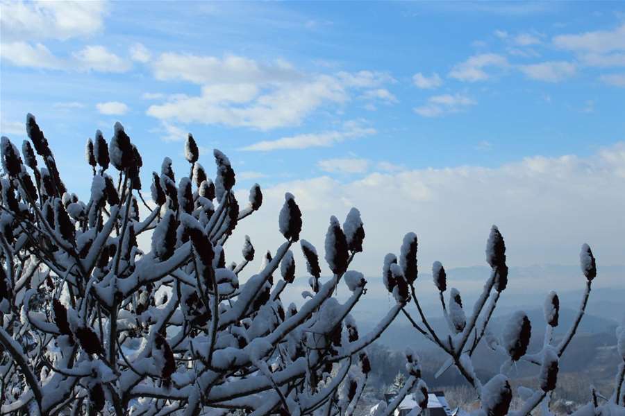 Snijeg Petrovsko (5).jpg