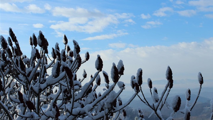 Snijeg Petrovsko (5).jpg