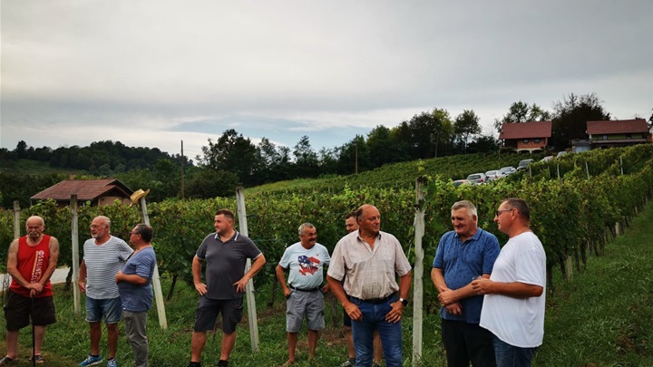 kumrovec vinari3.jpg