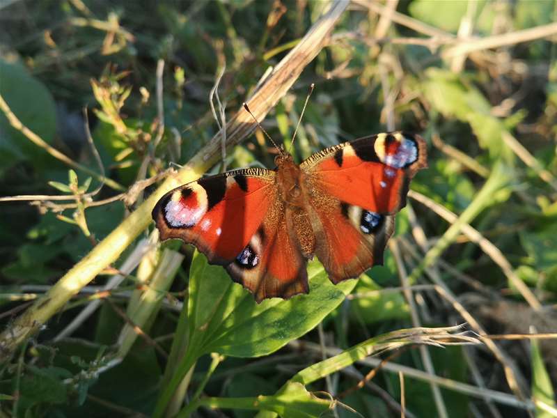 prognoza jesen (1).jpg