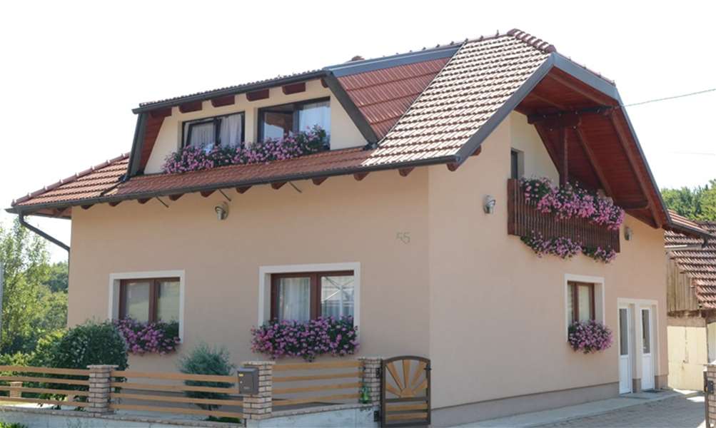 Najljepši cvjetni prozor privatne kuće