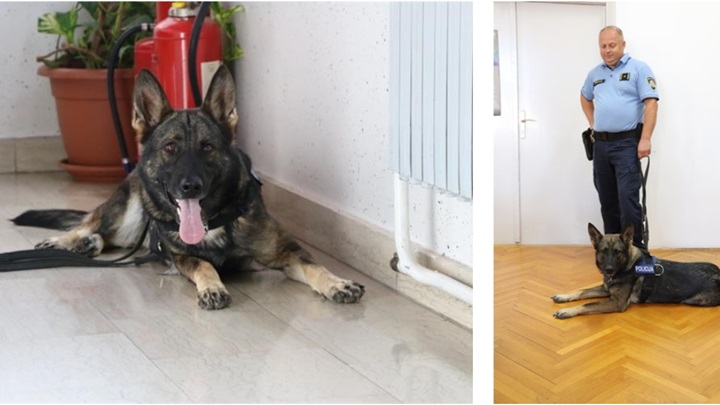 FotoJet-1 aba kolaž pu varaždinska.jpg