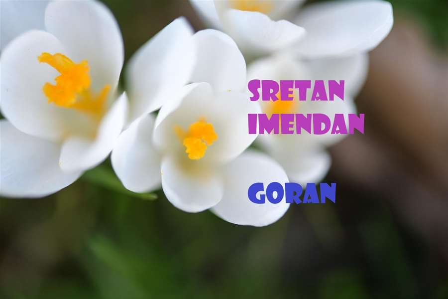 goran-