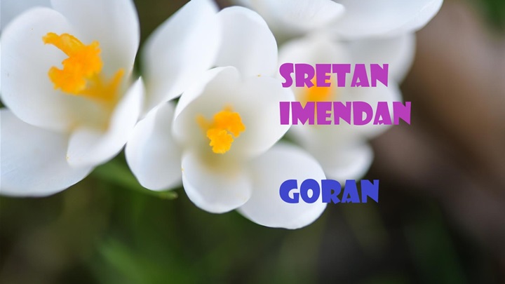 goran-