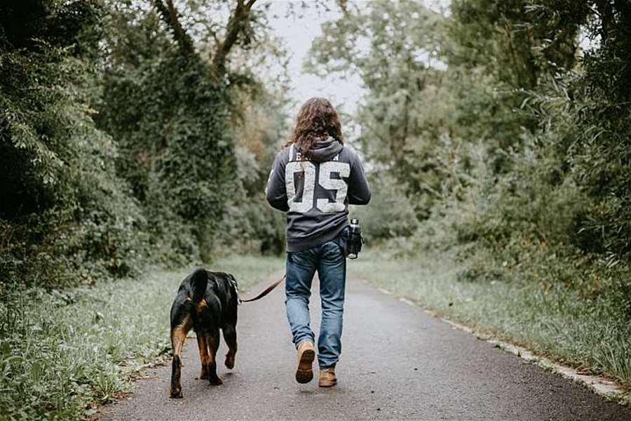 pas šetnja-