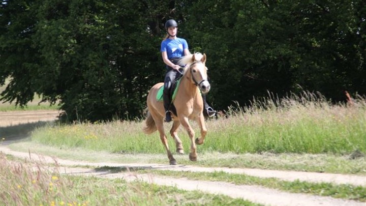 ResizeImage (16).jpg