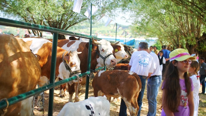 foto: arhiva_  izložba stoke u Pregradi