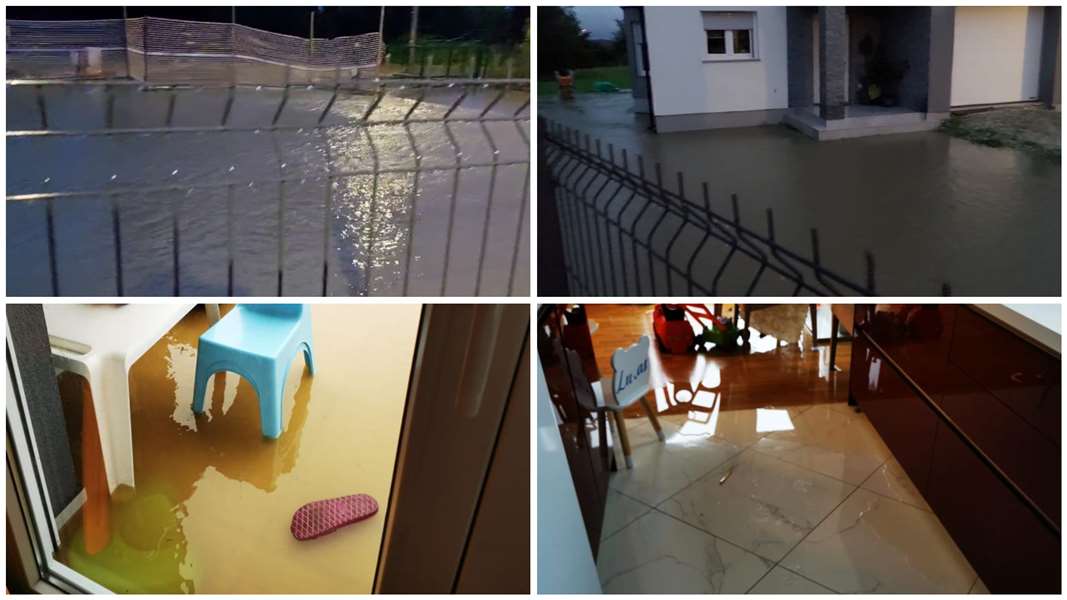 FotoJet - 2023-08-05T135231.536.jpg