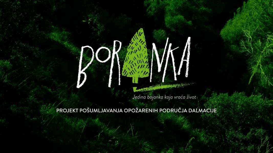 Boranka