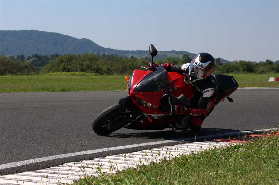 petra pavlović (7).jpeg