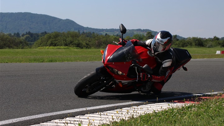 petra pavlović (7).jpeg