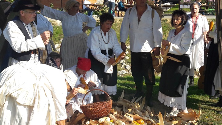 Lupitva kuruze uz tradicionalne popevke