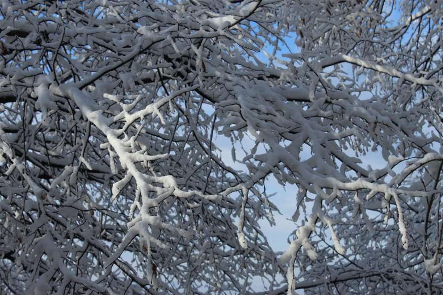 Snijeg Petrovsko (7).jpg