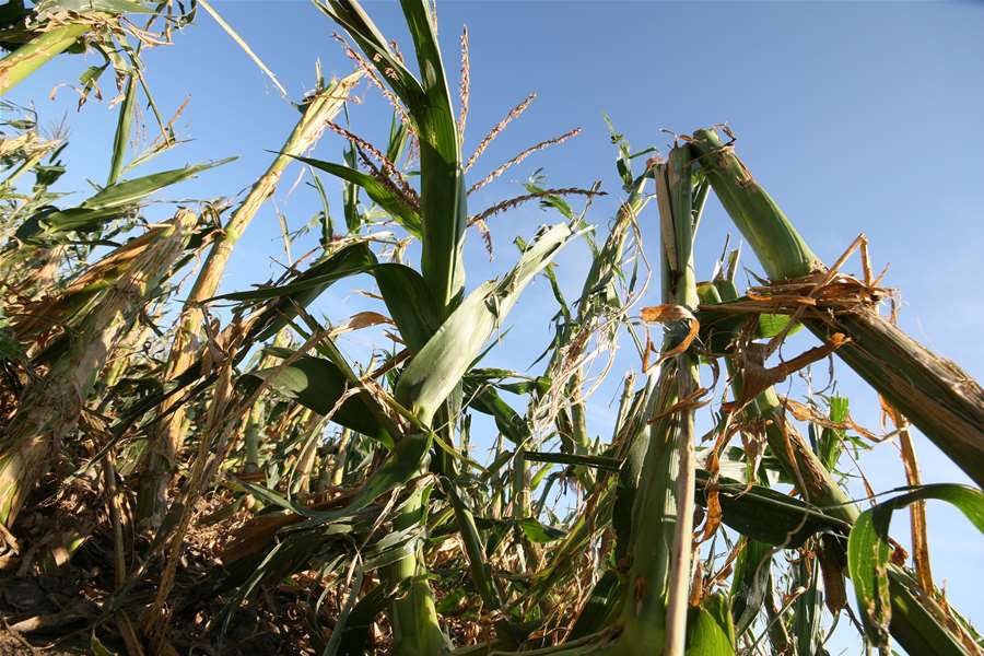 FOTO: Regionalni tjednik