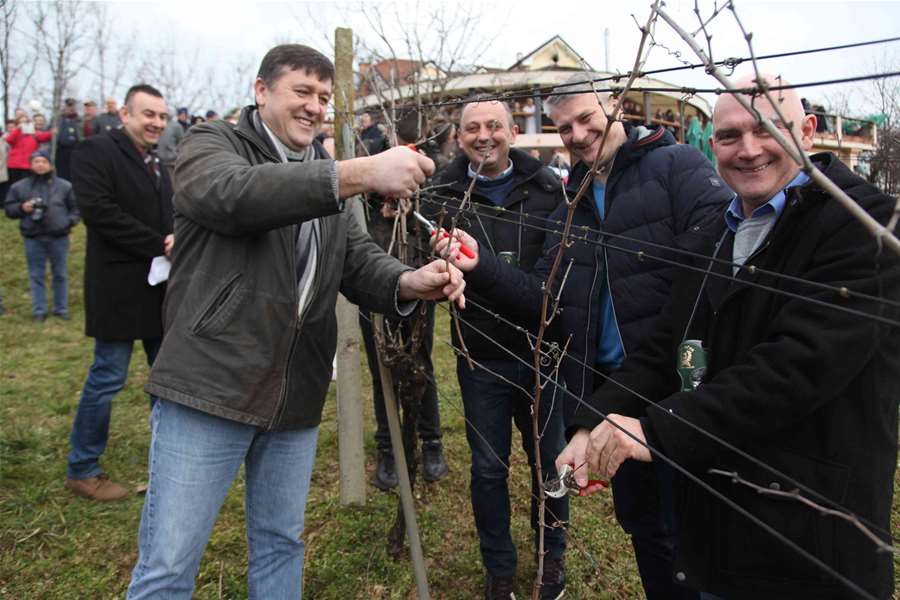 vincekovo rody 9.jpg