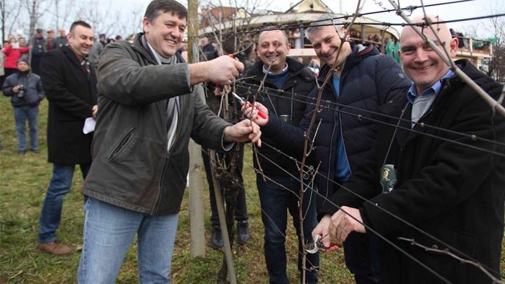 vincekovo rody 9.jpg