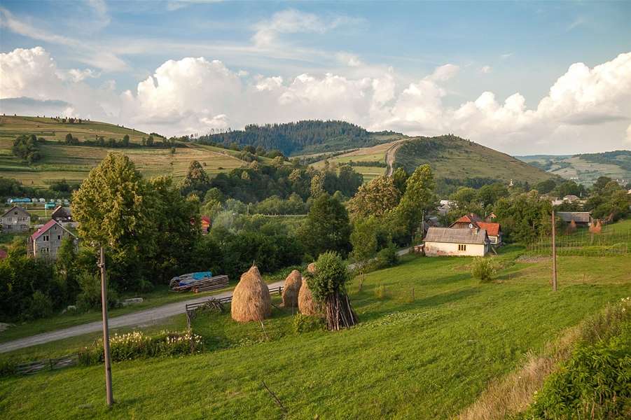 selo-