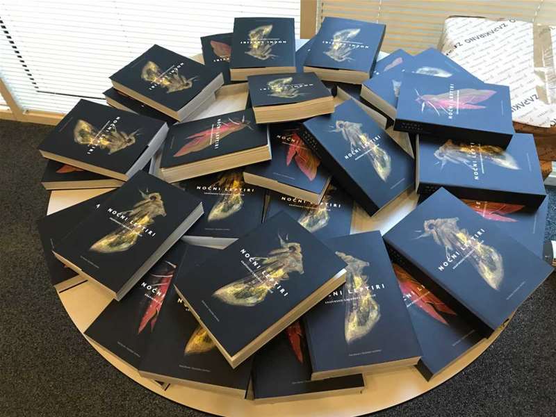 NOĆNI LEPTIRI 1.jpg