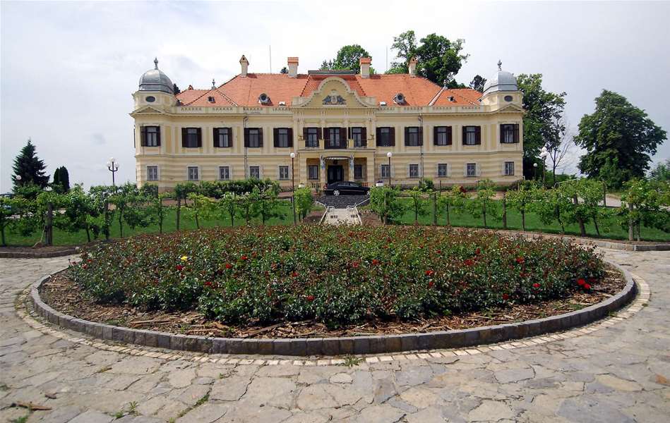 šaulovec