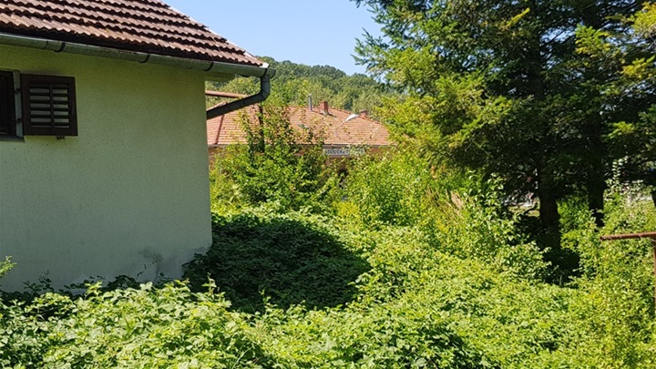 stubičke zaraslo.jpg