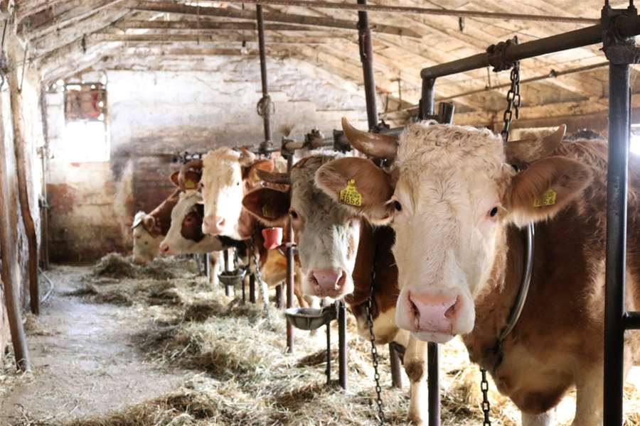 potpore u poljoprivredi