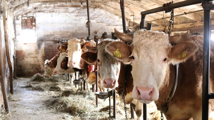 potpore u poljoprivredi