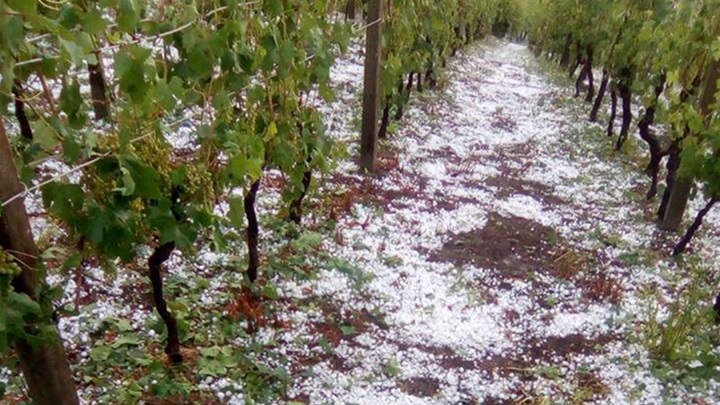 pregrada tuča za web.jpg