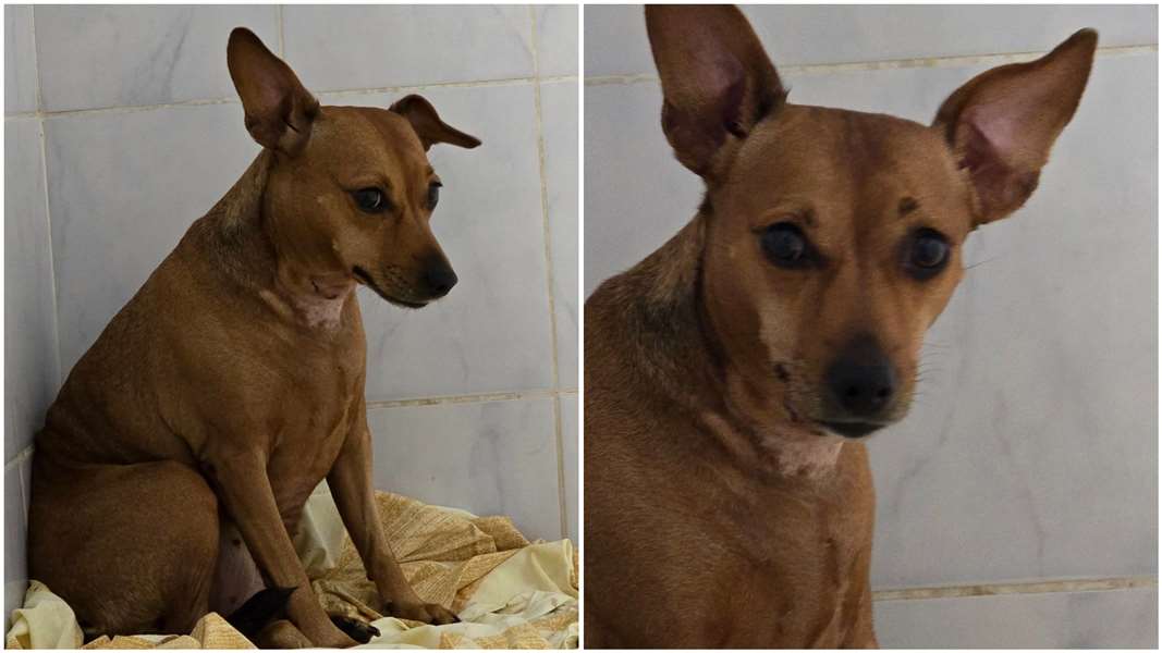 FotoJet - 2025-02-26T123738.021.jpg