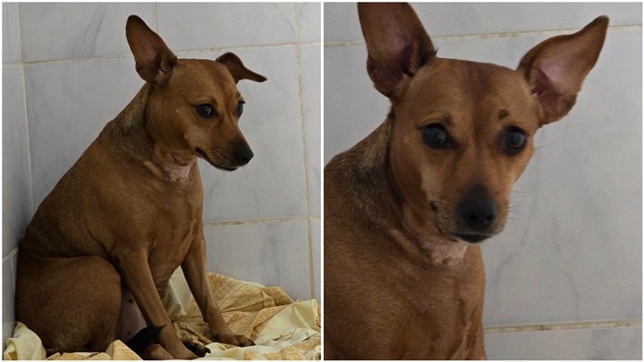 FotoJet - 2025-02-26T123738.021.jpg