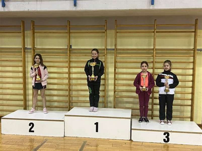 Stolni klinci Stubica