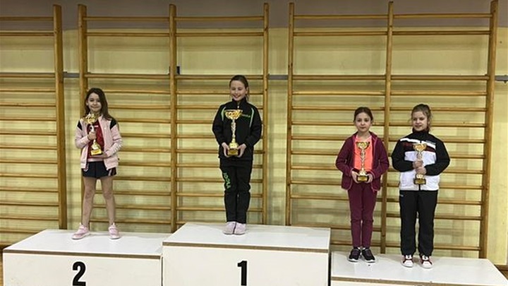 Stolni klinci Stubica