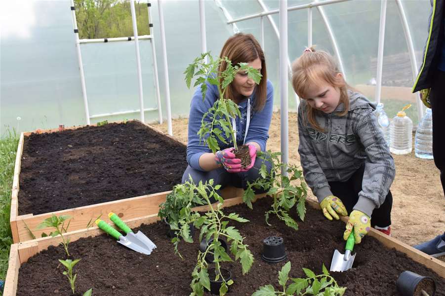 udruga feniks vrt 3.jpg