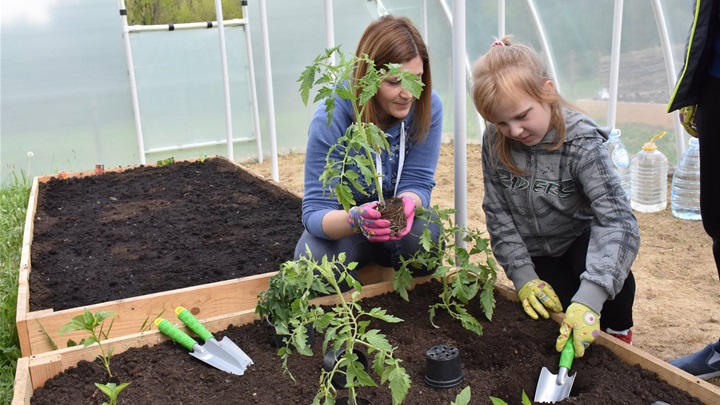 udruga feniks vrt 3.jpg