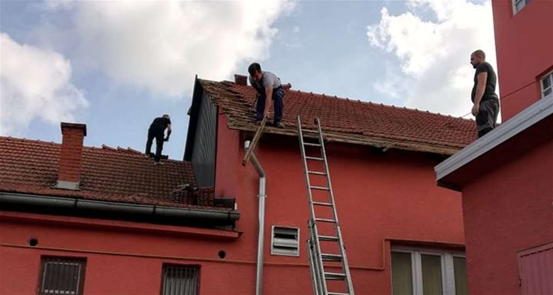 dvd mače radna akcija 4.jpg