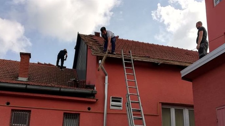 dvd mače radna akcija 4.jpg