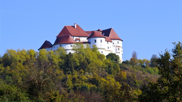 dvor veliki tabor (1).jpg