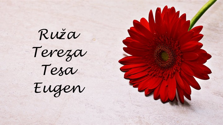 imendan ruža tereza.png