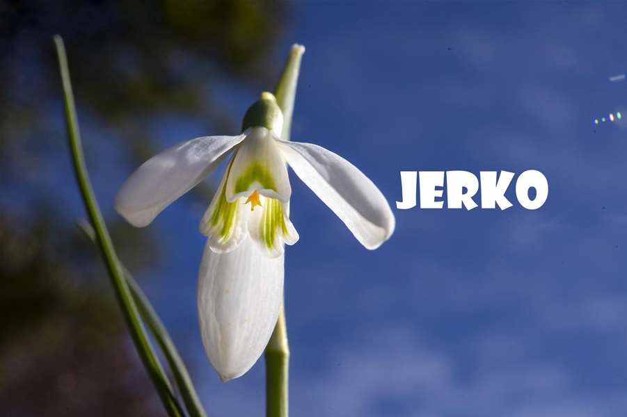 jerko-