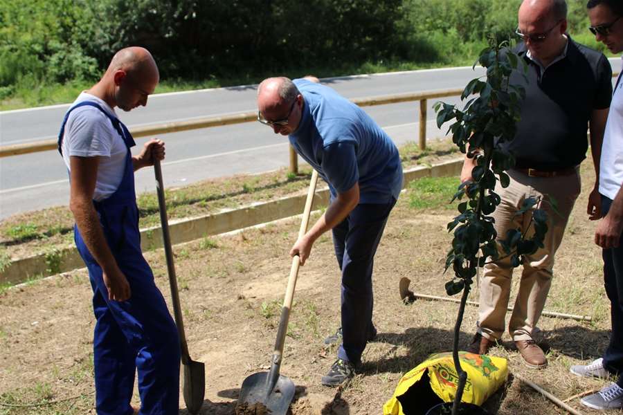 energetski dan (7).jpg