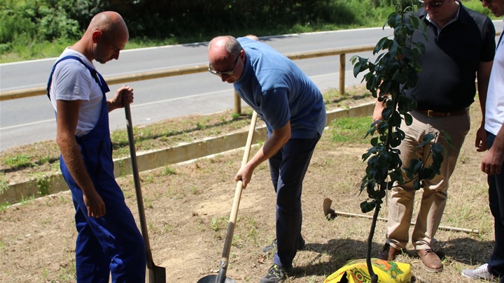 energetski dan (7).jpg