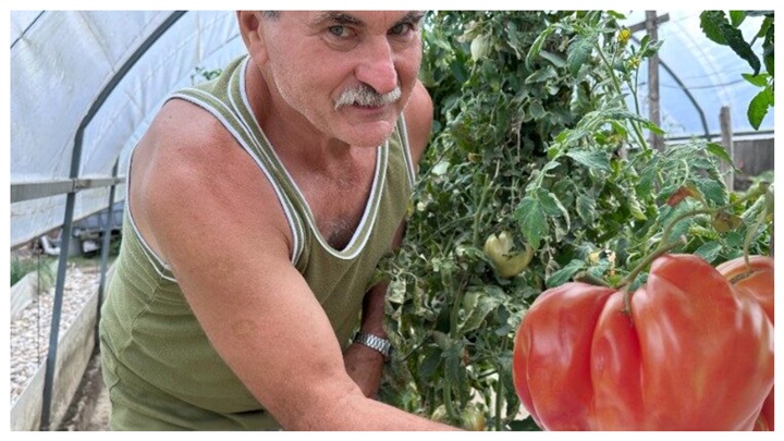 FotoJet - 2024-08-22T150604.474.jpg