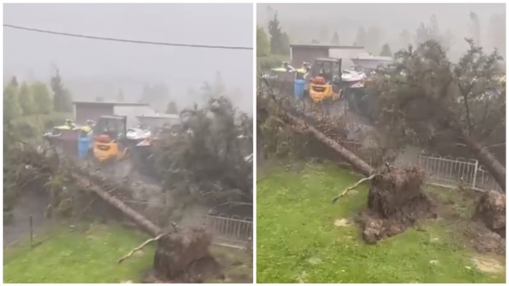 FotoJet - 2023-10-31T120940.077.jpg